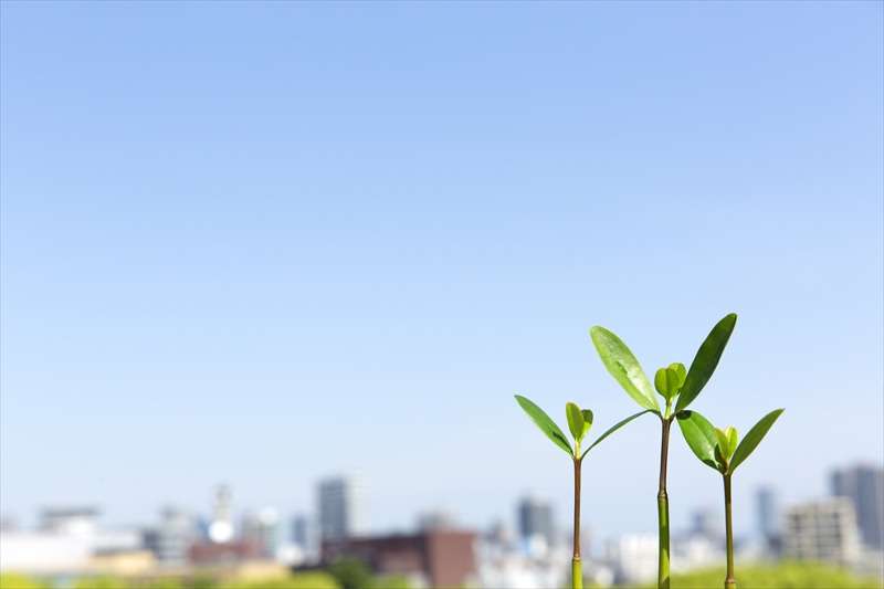 株式会社マルト